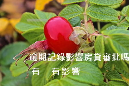 逾期記錄影響房貸審批嗎(有逾期記錄對房貸有沒有影響)