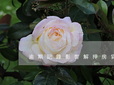 逾期記錄影響解押房貸嗎(抵押房貸逾期后果)