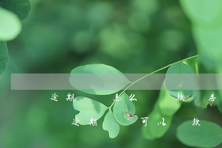 逾期記錄怎么樣貸款買房(有網(wǎng)貸逾期記錄可以貸款買房嗎)
