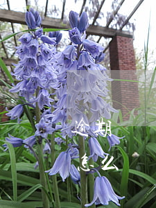 逾期記錄怎么貸款買房(征信有逾期貸款買房怎么辦)