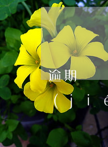 逾期記錄撤銷后可公積金貸款嗎-逾期已結(jié)清影響公積金貸款么