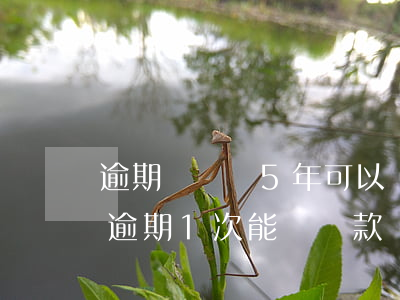 逾期記錄滿5年可以貸款(5年內(nèi)逾期1次能辦貸款嗎)
