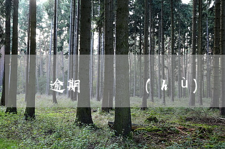 逾期記錄維護(hù) 處理逾期記錄