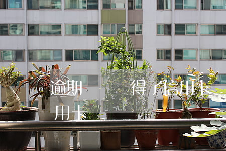 逾期記錄辦得了信用卡嗎 逾期記錄辦得了信用卡嗎