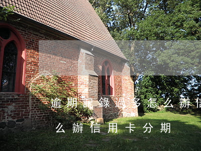 逾期記錄過多怎么辦信用卡(逾期記錄過多怎么辦信用卡分期)