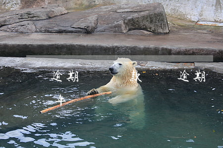 逾期記錄還款記錄(逾期還款負面記錄保存幾年)