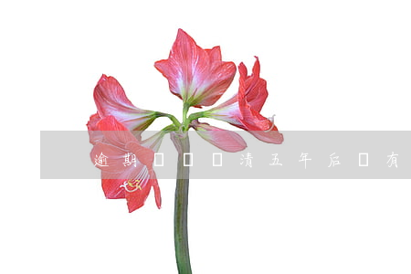 逾期記錄還清五年后還有顯示嗎-