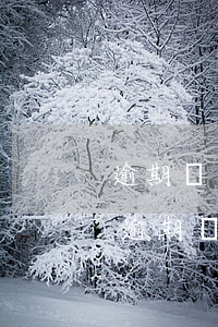 逾期記錄銀行能調(diào)整嗎(銀行的逾期記錄銀行保持多久)
