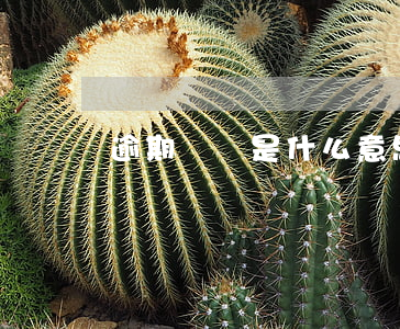 逾期訴訟是什么意思-逾期起訴是什么意思