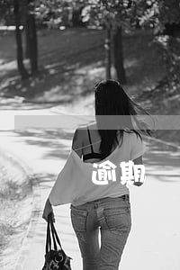 逾期訴訟案件怎么查