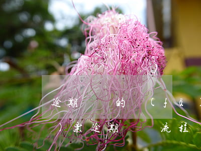 逾期認證的發(fā)票怎么處理（發(fā)票逾期認證流程）