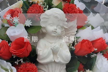 逾期誤檢單(逾期誤檢單)