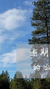 逾期說(shuō)戶籍地派出所立案是真的么-逾期說(shuō)戶籍地派出所立案是真的么嗎