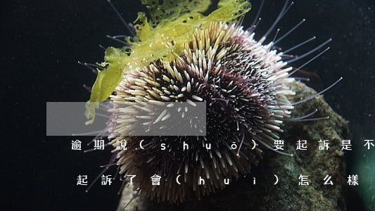 逾期說(shuō)要起訴是不是真的(逾期起訴了會(huì)怎么樣)