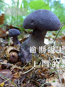 逾期說上門的是第三方還是什么人-逾期說上門的是第三方還是什么人來催收