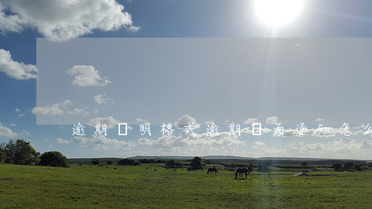 逾期說明格式(逾期書面通知怎么寫)