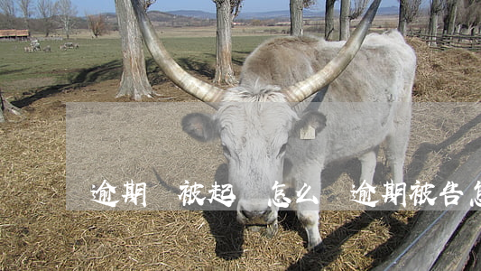 逾期說被起訴怎么辦(逾期被告怎么辦)