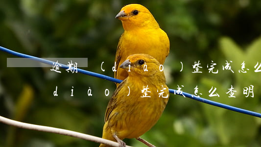 逾期調(diào)整完成怎么查 逾期調(diào)整完成怎么查明細