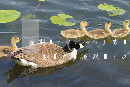 逾期調(diào)查組可以調(diào)走資料嗎(逾期調(diào)查組可以調(diào)走資料嗎是真的嗎)