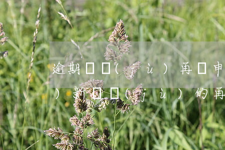 逾期證據(jù)再審申請(出現(xiàn)新證據(jù)的再審申請書)