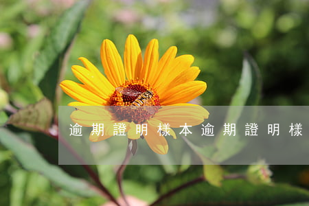 逾期證明樣本(逾期證明樣本)