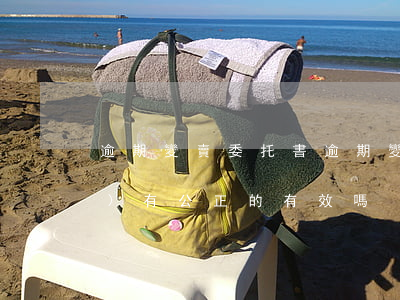 逾期變賣委托書(逾期變賣委托書沒(méi)有公正的有效嗎)