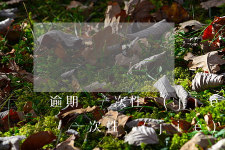 逾期讓一次性結(jié)清怎么辦-逾期讓一次性結(jié)清怎么辦理