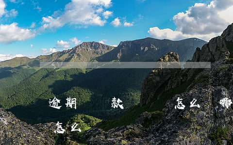 逾期讓還款沒錢還怎么辦(哪里都逾期沒錢還怎么辦)