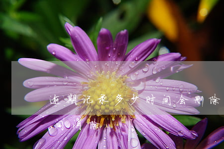 逾期记录多少时间会删除-逾期记录多长时间消除
