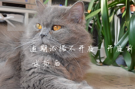 逾期证据不开庭-开庭前证据没送达 可以要求延后