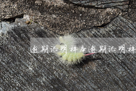 逾期证明样本(逾期证明样本)