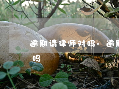 逾期请律师对吗-逾期了找律师能协商解决吗
