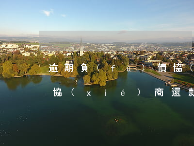 逾期負(fù)債協(xié)商還款(欠債協(xié)商還款)