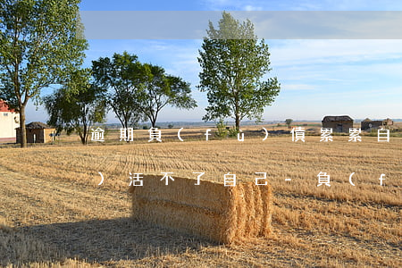 逾期負(fù)債累累自己都養(yǎng)活不了自己-負(fù)債還不上要逾期了