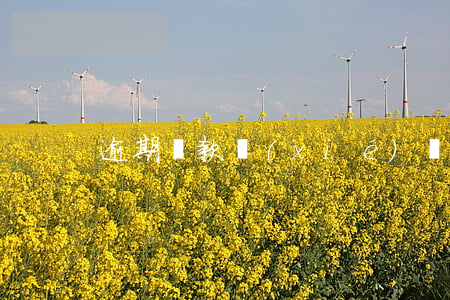 逾期貨款協(xié)議(逾期合同條款)