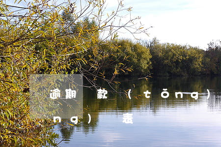 逾期貨款統(tǒng)計表(欠貨統(tǒng)計表)