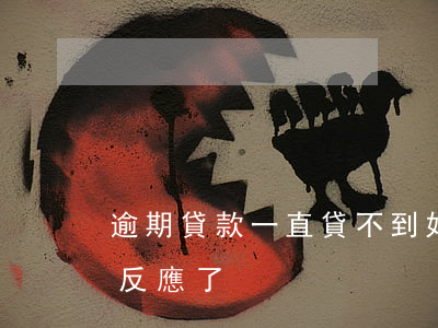 逾期貸款一直貸不到(好多貸款逾期一年,沒有反應了)