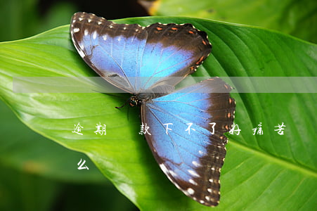 逾期貸款下不了好痛苦(貸款不小心逾期了怎么辦)