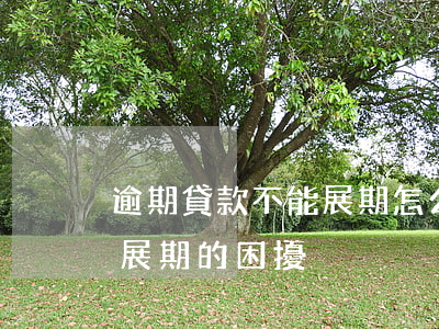 逾期貸款不能展期怎么辦，解決逾期貸款無法展期的困擾