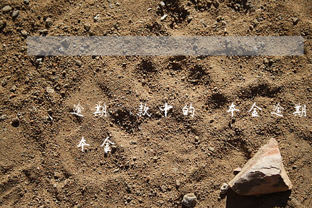 逾期貸款中的純本金逾期(貸款逾期可以只還本金嗎)