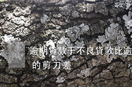 逾期貸款于不良貸款比(逾期貸款與不良貸款的剪刀差)