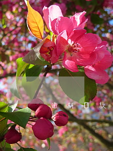 逾期貸款什么意思(什么叫逾期貸款)