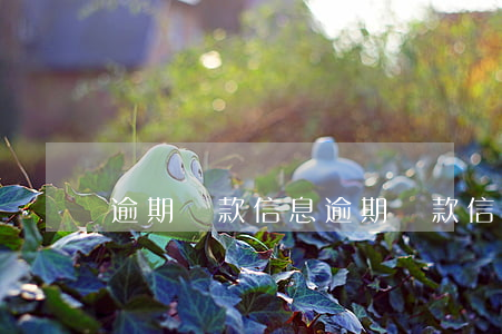逾期貸款信息 逾期貸款信息是指選擇題
