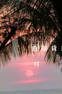 逾期貸款信貸員會墊付(逾期貸款信貸員會墊付)