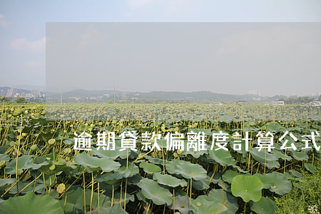 逾期貸款偏離度計算公式(逾期貸款率)