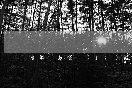 逾期貸款偶發(fā)性逾期(貸款逾期限高)