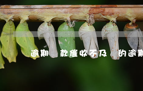 逾期貸款催收不及時的(逾期后一直不理催收)