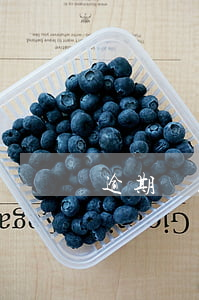 逾期貸款催收公告（逾期催收公告有效期）