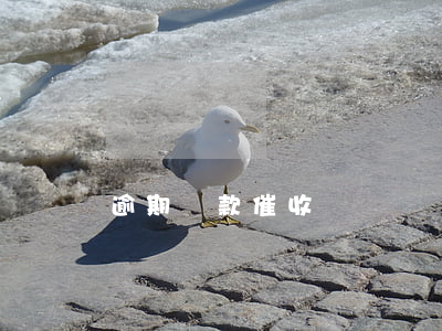 逾期貸款催收動員講話(貸款逾期催收措施)