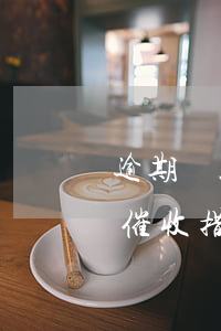 逾期貸款催收工作報(bào)告(逾期貸款催收措施)